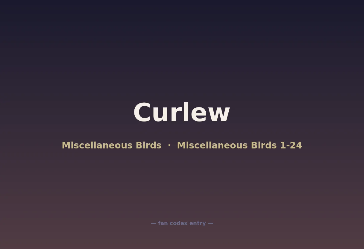 Curlew