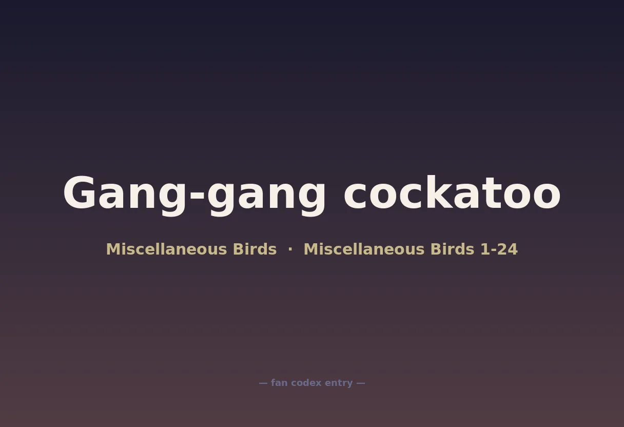 Gang-gang cockatoo