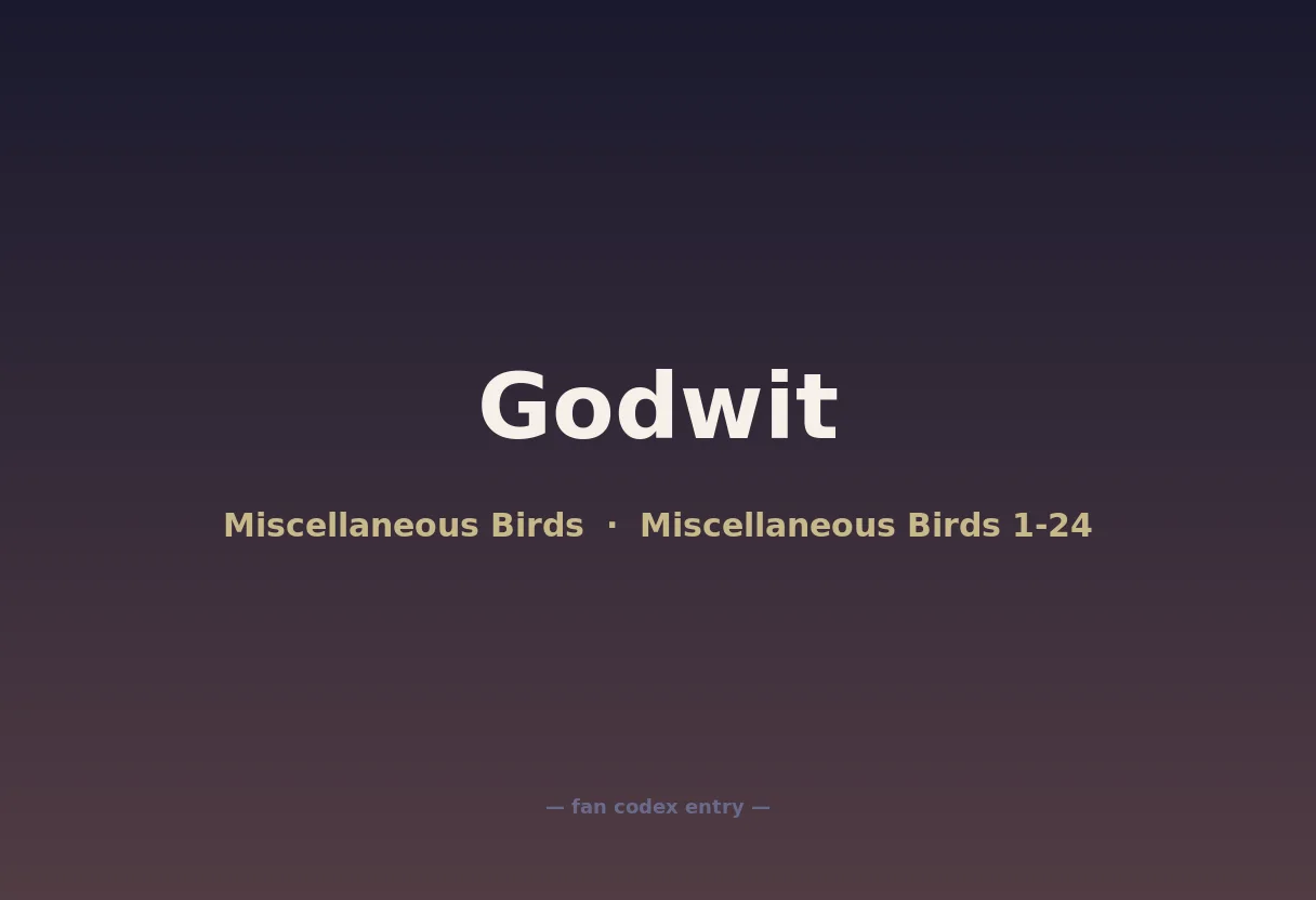 Godwit