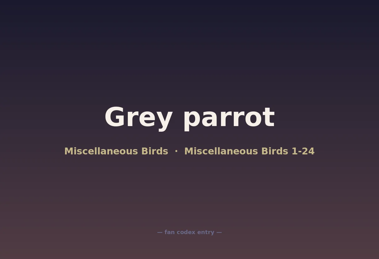 Grey parrot