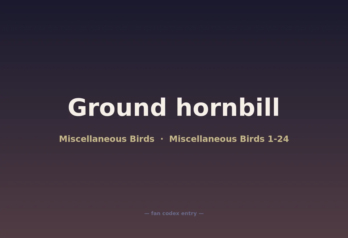 Ground hornbill