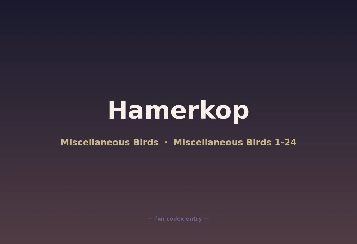 Hamerkop