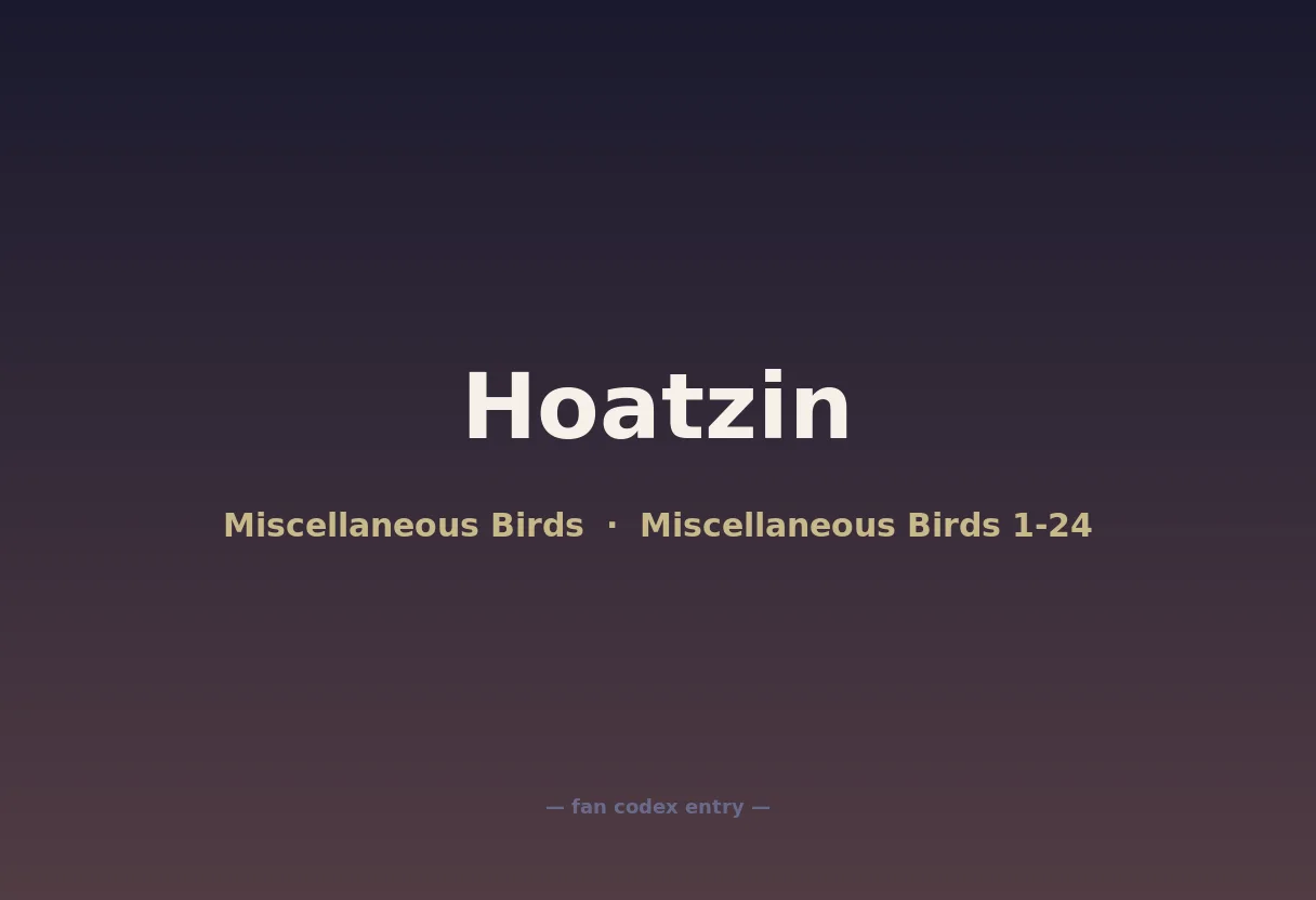 Hoatzin